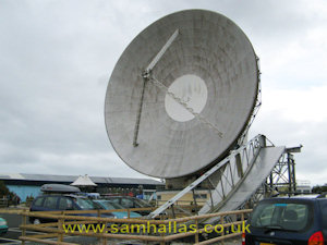 Large dish 'Arthur'