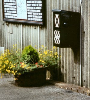 Platform telephone