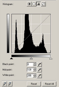 The Histogram